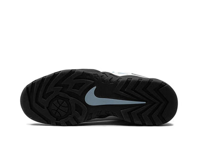 Nike SB Darwin Low Supreme Sail