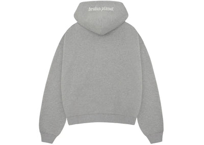 Broken Planet Zip Up Hoodie Heather Grey