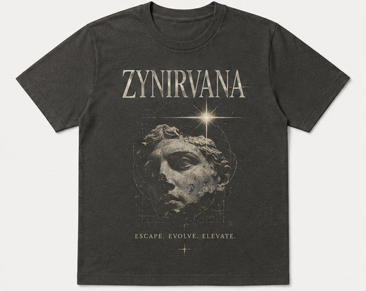 Zynirvana Graphic T-Shirt Evolve Statue Design Grey
