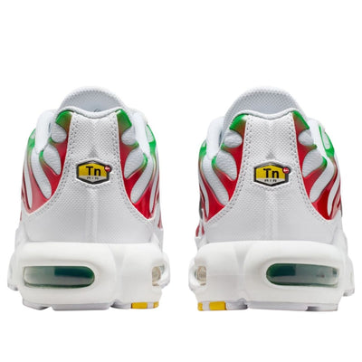 Nike Air Max Plus Italy